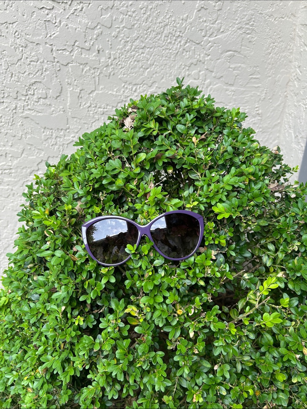 Kenneth Cole Reaction Purple Frame Black Lens Cat-Eye Sunglasses